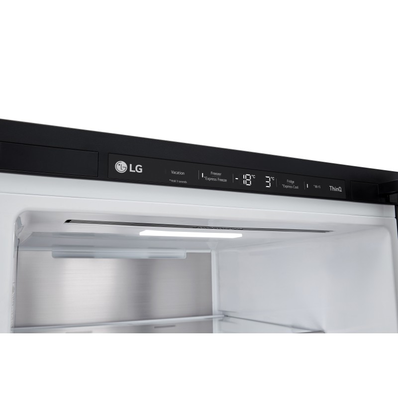 Combi LG GBG5160CEV, 186 cm, Display int