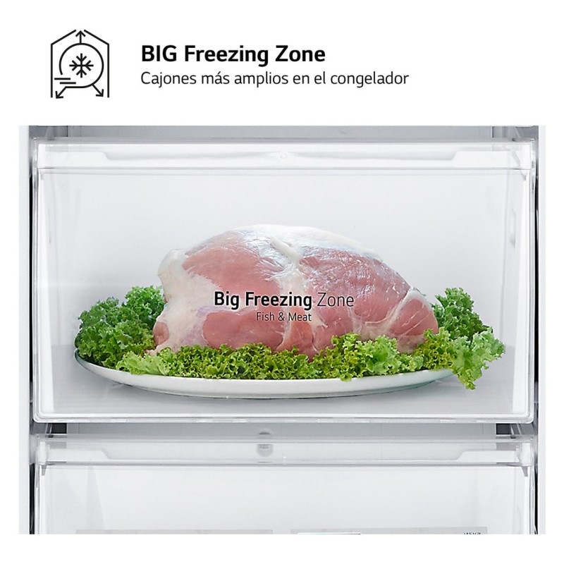 Combi LG GBV22NCDSW, 203 cm, Display int