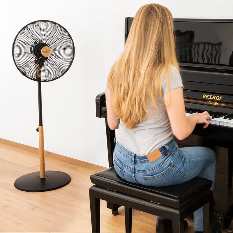 Cecotec, Ventilador Cecotec de pie Energy Silence