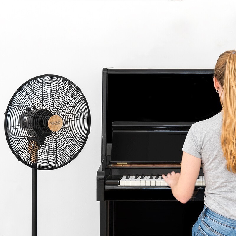 Cecotec, Ventilador Cecotec de pie Energy Silence