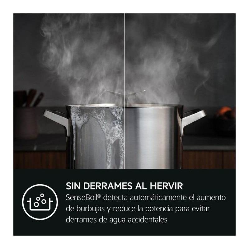 AEG TI63IQ10IZ Negro Integrado 60 cm Con placa de inducción 3 zona(s)