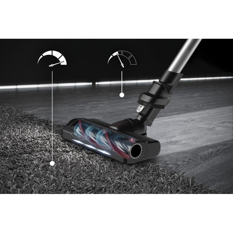 Escoba Rowenta RH2077, XFORCE FLEX 9.60 ANIMAL