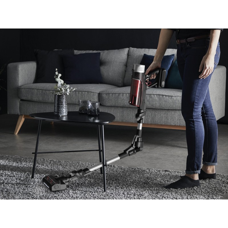 Escoba Rowenta RH2077, XFORCE FLEX 9.60 ANIMAL